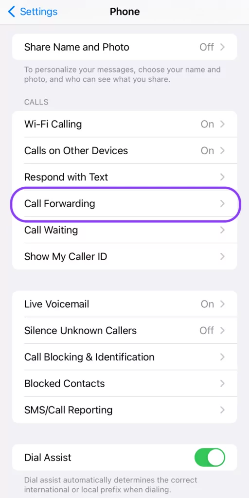 Turn off call forwarding: Access call forwarding settings for an iPhone