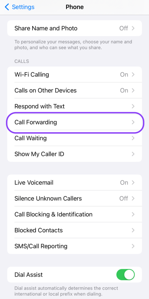 Call forwarding iPhone step 3