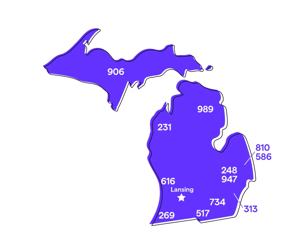 Michigan (MI) Phone Numbers: Area Codes 313, 248, 616, 734